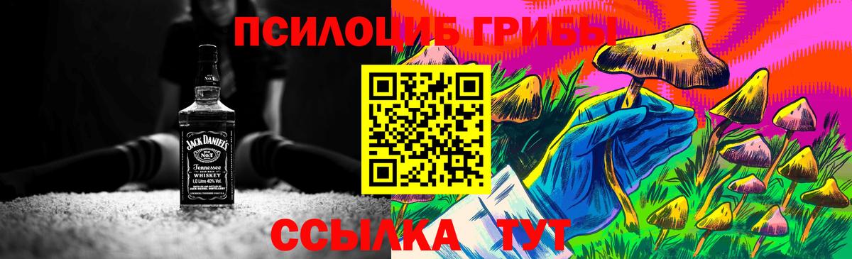 Волжск  Псилоцибиновые грибы ЛСД  Вход с VPN 